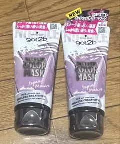 シュワルツコフ 24本　イゴラ　カラーワーク　ColorWorx 塩基性カラー シュワルツコフ 24本 イゴラ カラーワーク ColorWorx 塩基性カラー