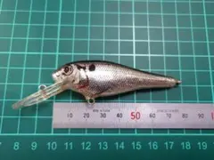 バグリー　バッシンシャッドのサムネイル