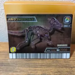 超レア✨️　美品　恐竜キング 【希少】シークレット パキケファロサウルス化石