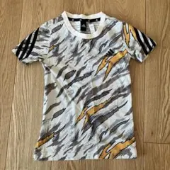 Item thumbnail for item 8e3e09c5-4d83-48d5-8628-cfc0ab58c4ee