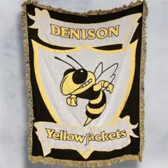 BOZR チーム ラグ 古着 蜂 ビーン 昆虫 カレッジ ホーネッツ 絨毯