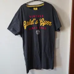 ゴールドジム tシャツ