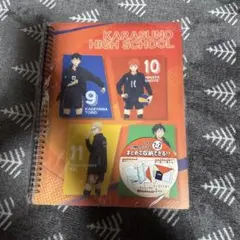 Item thumbnail for item a82abe5e-f052-413c-b5c5-f90050be2915