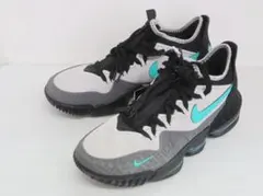 未使用 NIKE × atmos アトモス LEBRON 16 LOW AC $_57.JPG?set_id=8800005007