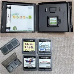 【Nintendo DS】おい森/ドラクエⅨ/マリオカート/脳トレ2種＋おまけ付