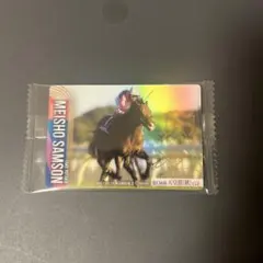 サラブレッドホースコレクション　メイショウサムソン　サイン付き
