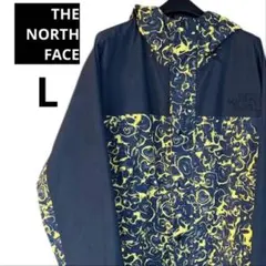 希少カラー⭐️ノースフェイス マウンテンライトジャケット94レイジGTX L