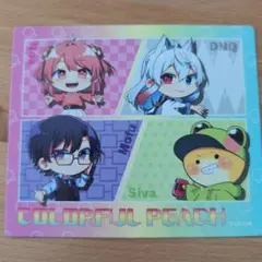 カラピチ　マグネット