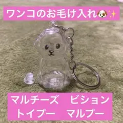 うちの子けだまだま　けだま　ポメ　ビション　マルチーズ　トイプードル　プードル