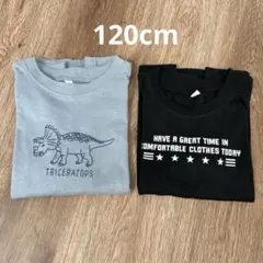 【最終値下げ】長袖Tシャツ2点セット 120cm