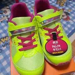 Item thumbnail for item d3a56286-b147-480a-b8a0-68ff43947fde