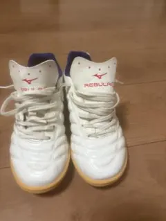 Item thumbnail for item c16b1bfa-f9df-4d9e-b248-fc3d7cacfba5