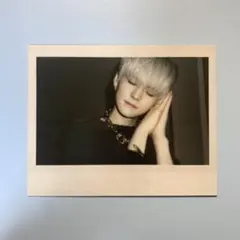 treasure ヨシ night garden ポラロイド