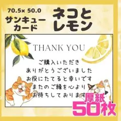 【ネコとレモン】50枚 サンキューカード　メッセージカード　手書き風　厚紙　猫