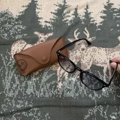 Ray-Ban RB 4259-F サングラス ブラック