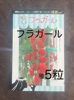 ともたん様 リクエスト 2点 まとめ商品