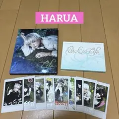 &TEAM Back to Life HARUA ソロ、ミニCD