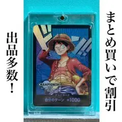 マグネットローダー 鑑賞展示用カードのおまけ付き