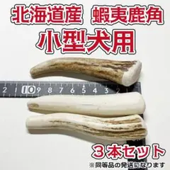 小型犬用　蝦夷鹿の角　3本セット　北海道産　犬　おもちゃ　シカ　ツノのサムネイル