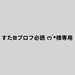すた@プロフ必読 ෆ˚*様専用