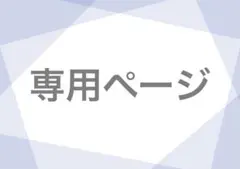 専用ページ