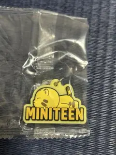MINITEEN ホシ　めじるしアクセサリー