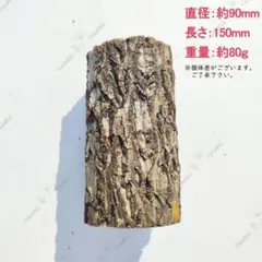 W633 ポルトガル産 キャノンコルク コルク樹皮 コルク板　バージンコルク 2026年最新】コルク樹皮 キャノンの人気アイテム - メルカリ