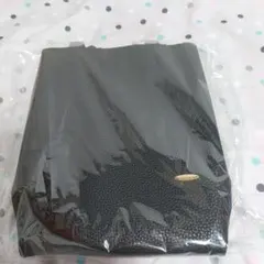 アクアガール　トートバッグ　付録のサムネイル