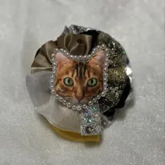 Item thumbnail for item 917304c4-f794-4ba0-a011-27f70fff4729