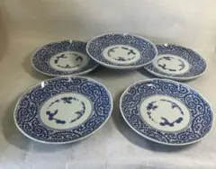 古伊万里 蛸唐草 松竹梅 陶磁器製 大皿 青 白 花柄 5枚セット 古伊万里 蛸唐草 松竹梅 陶磁器製 大皿 青 白 花柄 5枚セット - メルカリ