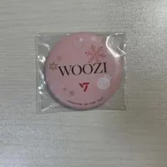 seventeen ウジ　一番くじ　マグネット