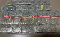 木兎光太郎 缶バッジ セット