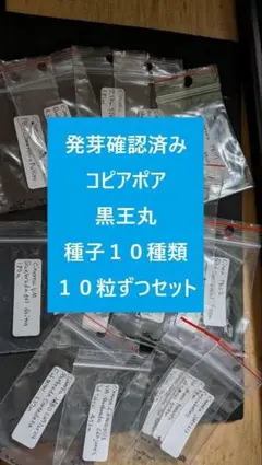 2026年最新】コピアポア シネレアの人気アイテム - メルカリ