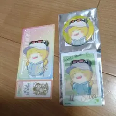 カラフルピーチ　シヴァまとめ売り