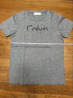 Calvin Klein Platinum Tシャツ S グレーのサムネイル