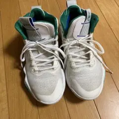 asicsアシックスバスケシューズバッシュ24.5