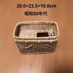 2026年最新】渓流ビクの人気アイテム - メルカリ