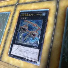 2026年最新】シャーク レリーフの人気アイテム - メルカリ