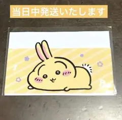 新品未使用★うさぎ1枚　ちいかわ　マイナンバーカードケース