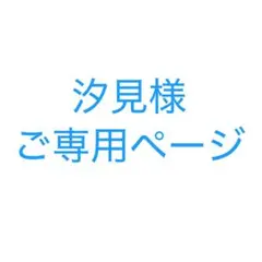 汐見様ご専用ページ