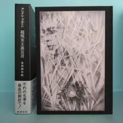 2026年最新】超現実主義の人気アイテム - メルカリ