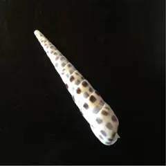 りんりん様☆専用