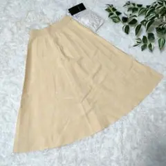 Item thumbnail for item 4d5d571f-fe5a-4c8c-a022-4f11c6a301b6