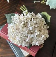 ゆーは様専用　57 186