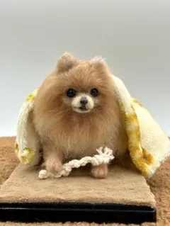 羊毛フェルト 幼顔のポメラニアン - メルカリ