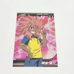 イナズマイレブン イナイレ ブロマイドコレクション 綱海 条介 希少