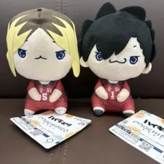 ハイキュー 孤爪研磨 黒尾鉄朗 もちぴこぬいぐるみ 2種 音駒 マスコット