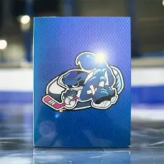 プライド DVD-BOX〈5枚組〉 - メルカリ