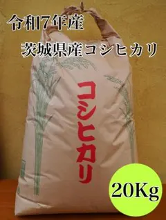 令和7年滋賀県産コシヒカリ 白米20キロ - メルカリ