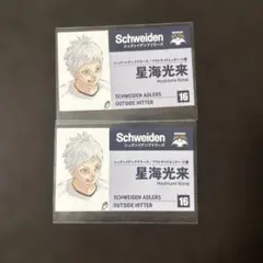 ハイキュー!!名刺カードコレクション 第1弾 星海光来